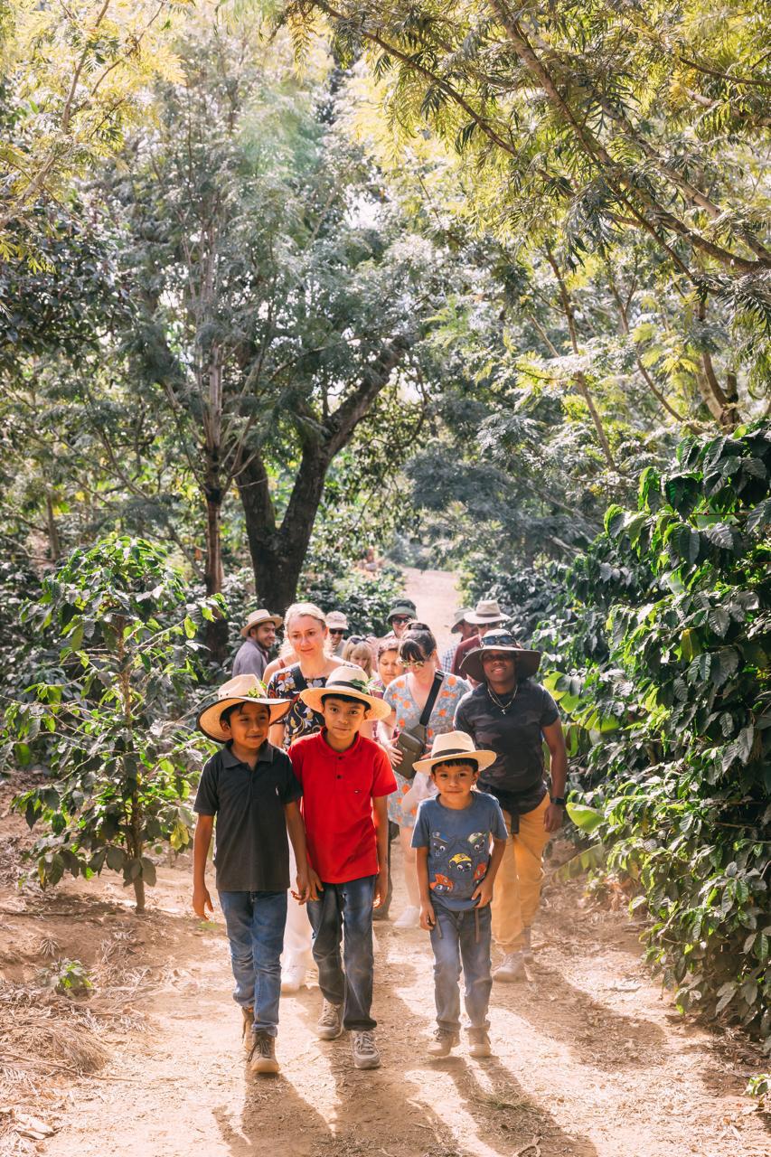 Tour de Plantación de Café